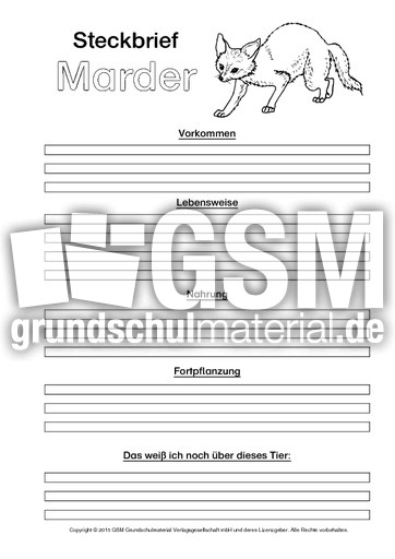 Marder-Steckbriefvorlage-sw.pdf